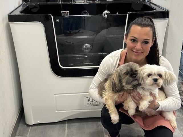 OM HUNDESALONEN